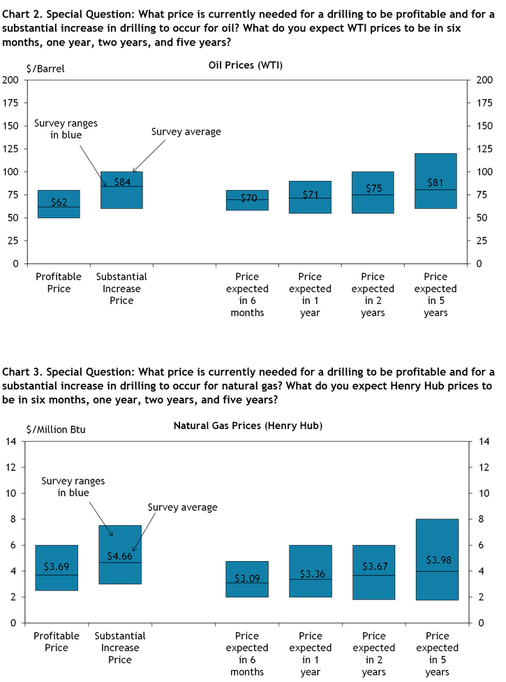 Firms were asked what oil prices were needed on average for drilling to be profitable and for a substantial increase to occur across the fields in which they are active, as well as their price expectations in six months, 1 year, 2 years, and 5 years. Chart 2 shows the average oil prices and ranges that firms reported. Firms were asked what natural gas prices were needed on average for drilling to be profitable and for a substantial increase to occur across the fields in which they are active, as well as their price expectations in six months, 1 year, 2 years, and 5 years. Chart 3 shows the average natural gas prices and ranges that firms reported.