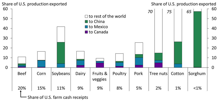 Chart shows that exports to China account for about 20 percent of U.S. soybean production as well as about 55 percent of sorghum, 20 percent of cotton, and 8 percent of tree nut production. Exports to Mexico account for 5–7 percent of corn, dairy, and pork production, and exports to Canada account for about 5 percent of tree nut and fruit and vegetable production.