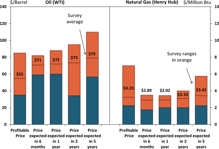 Chart 2. Special Question - What price is currently needed for drilling to be profitable for oil and natural gas, and what do you expect the WTI and Henry Hub prices to be in six months, one year, two years, and five years?