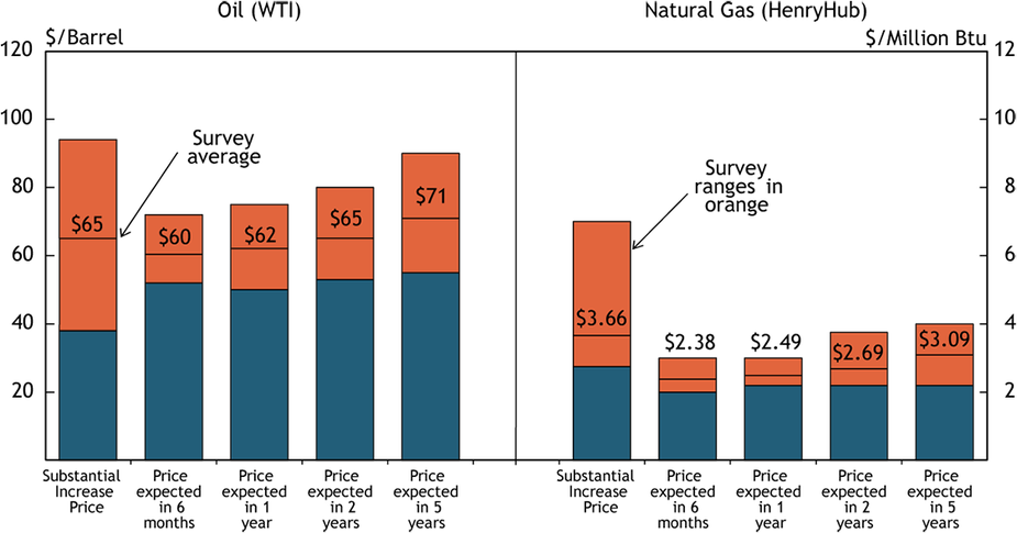 Chart 2. Special Question - What price is currently needed for a substantial increase in drilling to occur for oil and natural gas, and what do you expect the WTI and Henry Hub prices to be in six months, one year, two years, and five years?