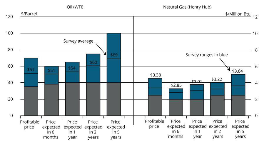 Chart 2: Special Question - What price is currently needed for drilling to be profitable for oil and natural gas, and what do you expect the WTI and Henry Hub prices to be in six months, one year, two years, and five years?